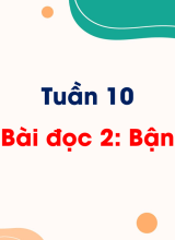 Tuần 10 - Bài đọc 2 Bận